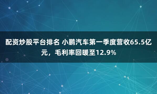 配资炒股平台排名 小鹏汽车第一季度营收65.5亿元，毛利率回暖至12.9%