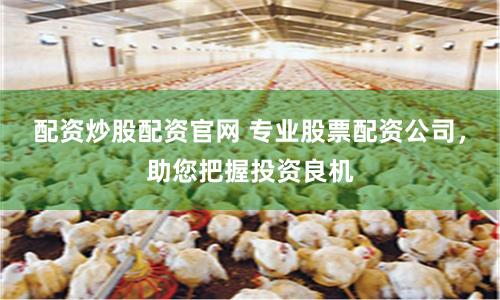 配资炒股配资官网 专业股票配资公司，助您把握投资良机